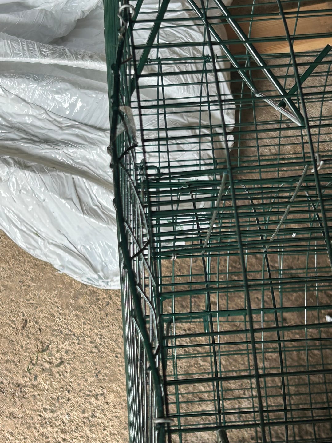 Customer photo review of Round Larsen Trap