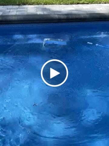 Customer video review of Ships Next Day New Maytronics Dolphin M400 Robotic Pool Cleaner