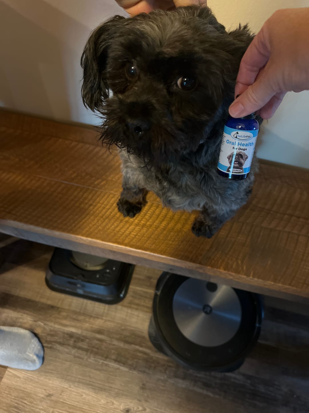 Customer photo review of Dog Bad Breath & Dental Care Solution - Natural Remedy for Canine Oral Health
