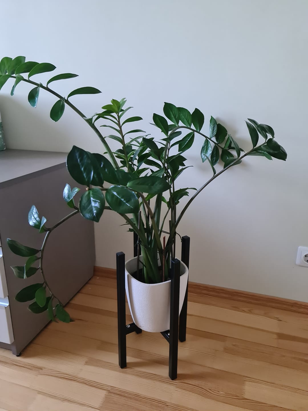 Customer photo review of Vazonų stovai GELA