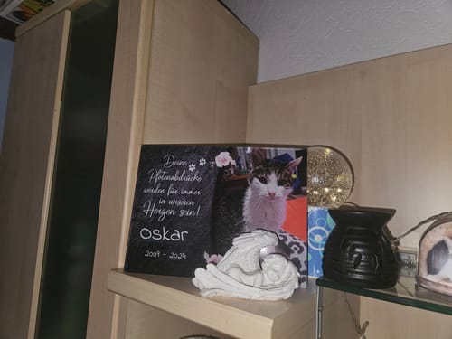 Customer photo review of Katzen Gedenktafel mit Foto & Spruch (UV- & Wetterfest)