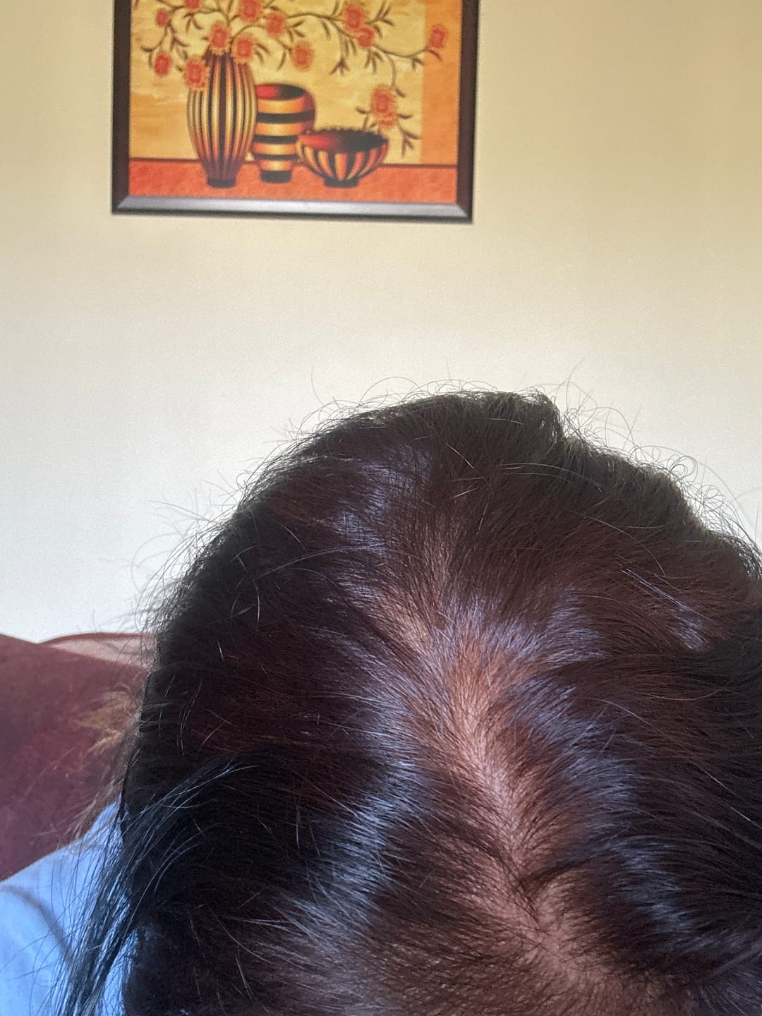Customer photo review of HerbaSafe Hypo-Allergic Herbal Hair Color
