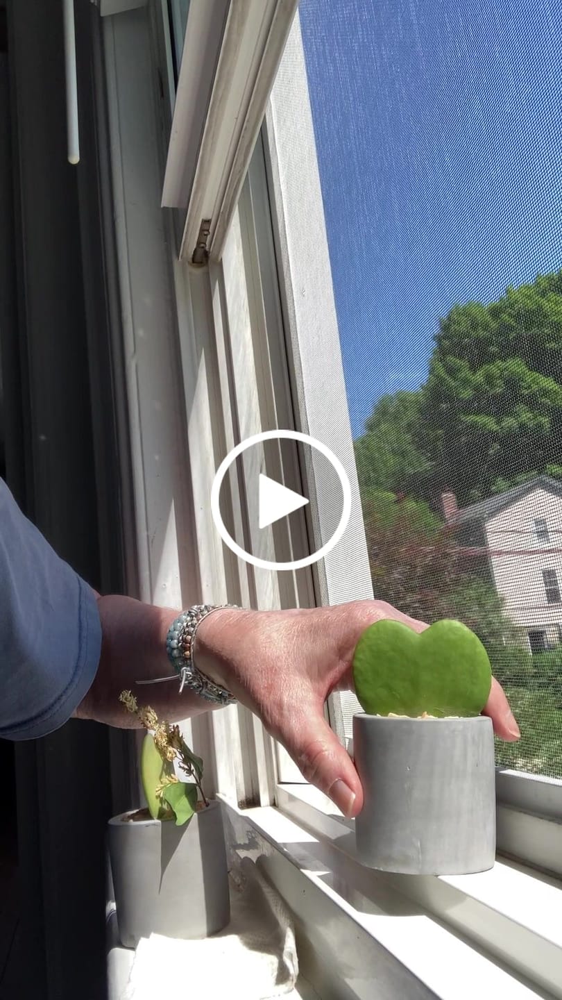 Customer video review of Healing Topaz Wrap Bracelet