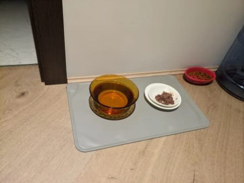 Customer photo review of EasyPet Silikonfuttermatte für Katzen und Hunde