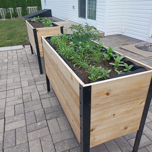 Customer photo review of 18" x 48" Raised Garden Bed
