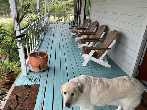 Customer photo review of Set of 4 - DuraWeather Poly® King Size Folding Adirondack Chairs Exclusive Wood Grain Poly-Resin