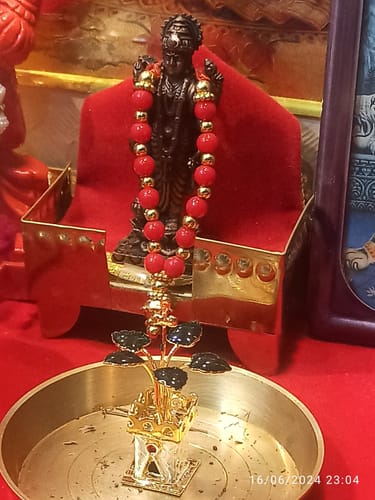 Customer photo review of Silver And Golden Tulsi Pot