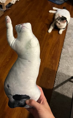 Customer photo review of Custom Pet Pillow