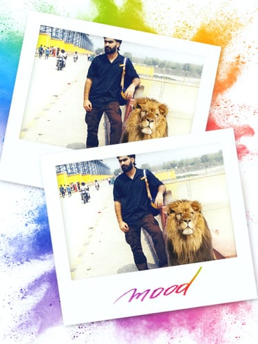 Customer photo review of Brown cargo straight fit