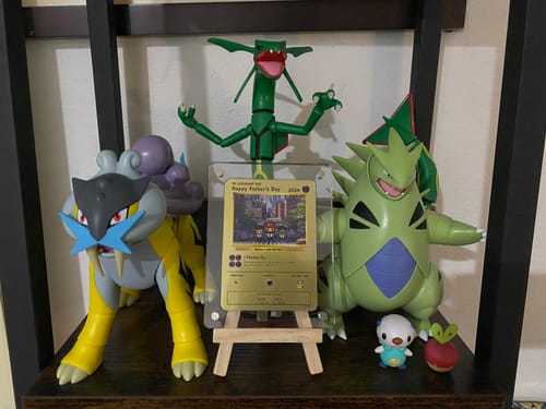 Customer photo review of Build Your Own Father's Day