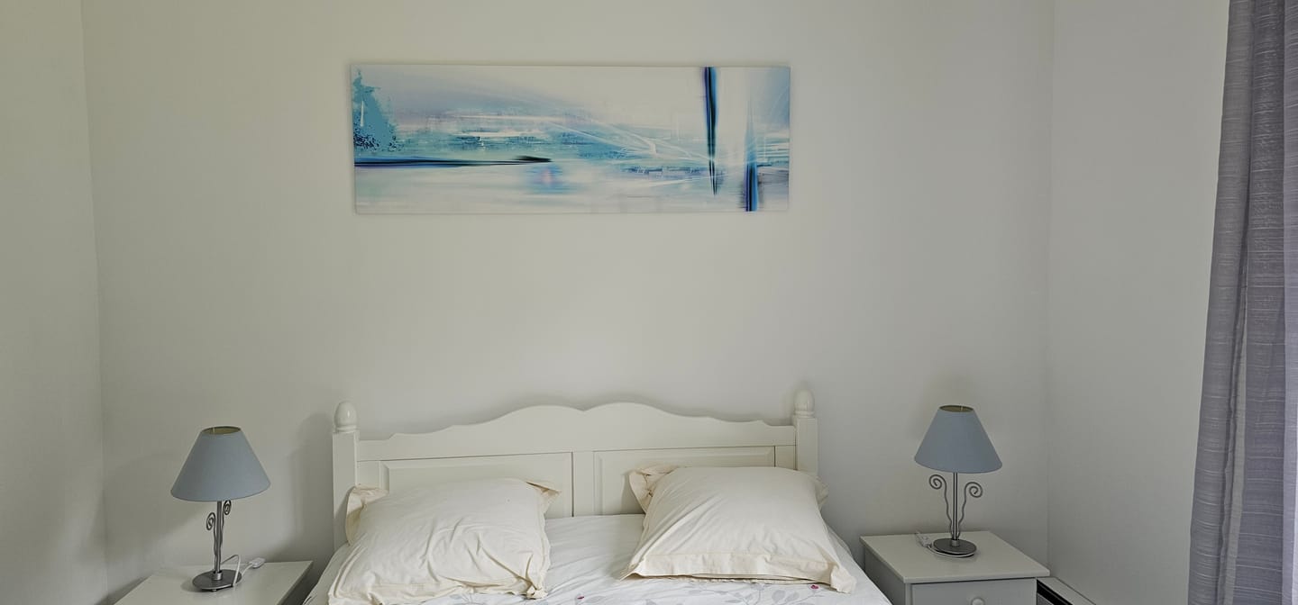 Customer photo review of Tableau Abstrait Bleu et Blanc