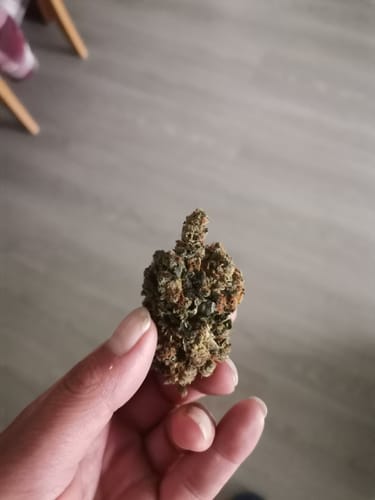 Customer photo review of Wedding Cake - Power LVL 5/5