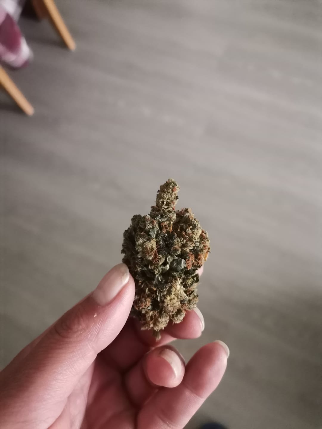 Customer photo review of Wedding Cake - Power LVL 5/5