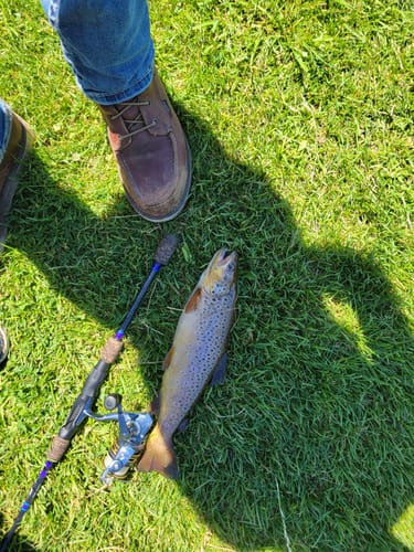 Customer photo review of Custom Panfish Rod