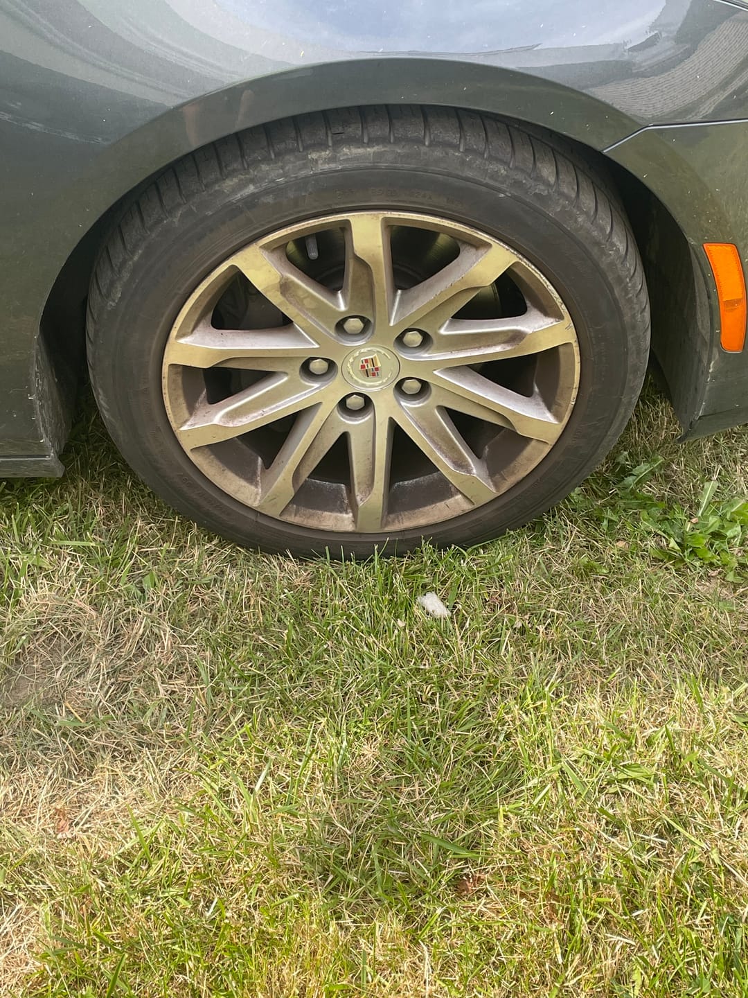 Customer photo review of Wheel Cleaner