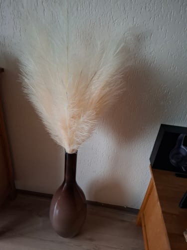 Fotorecensie van een klant over Pampas 110cm (3 stengels)- Crème