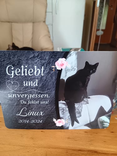 Customer photo review of Katzen Gedenktafel mit Foto & Spruch (UV- & Wetterfest)