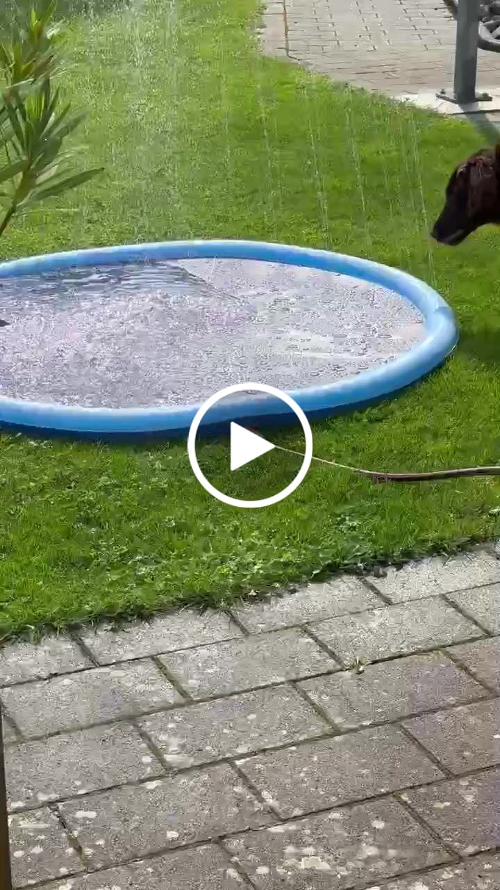 Customer video review of Sprinkler Wasserspielmatte für Hunde
