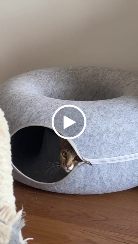 Customer video review of Tunel Krevet za Mačke