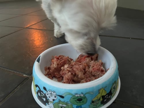 Customer photo review of BEEF SARDINE VEG OFFAL