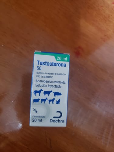 Customer photo review of Testosterona 50