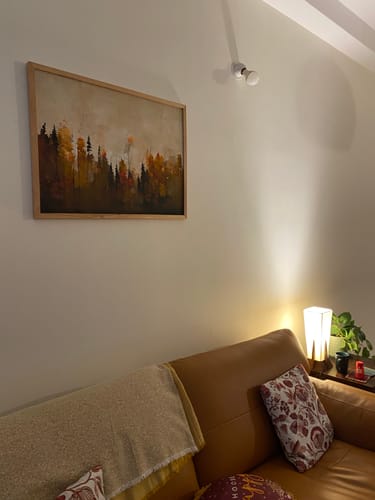 Customer photo review of A Forest In Autumn