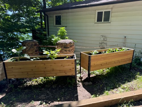 Customer photo review of 18" x 72" Raised Garden Bed