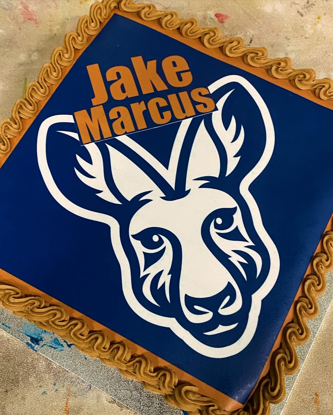 Customer photo review of 25cm x 25cm Square Custom Edible Icing Image
