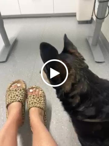 Customer video review of HappyFlops Limited Editions