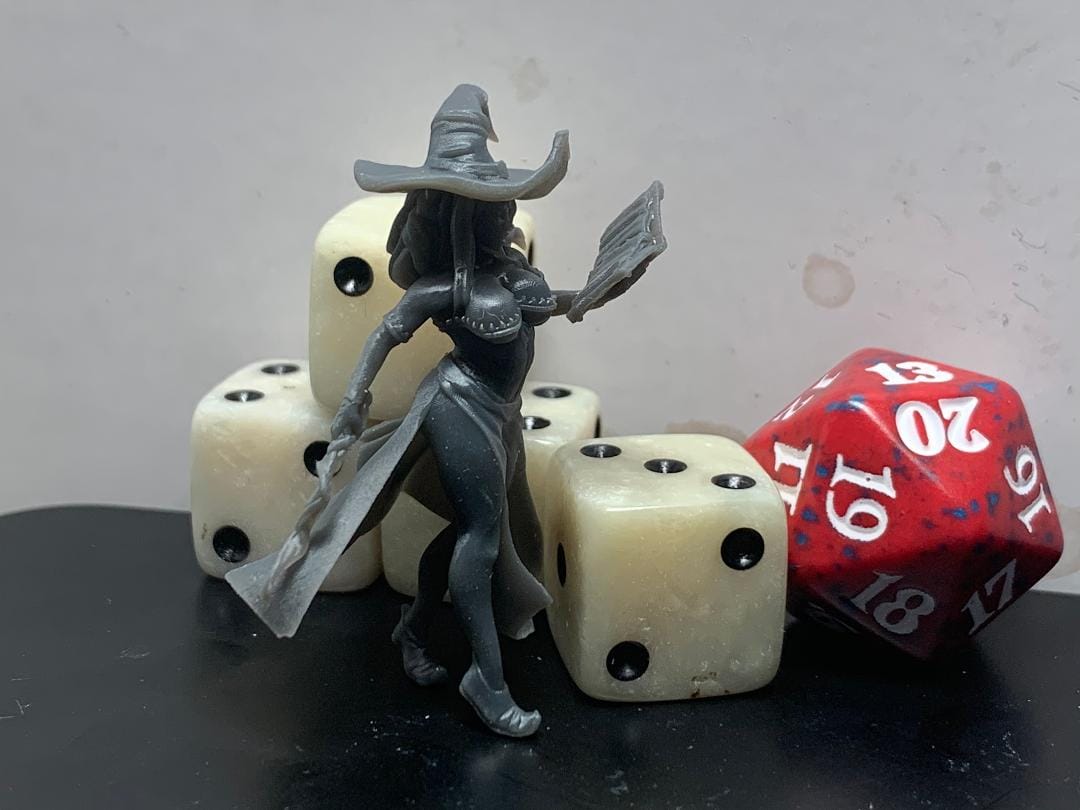 Customer photo review of Witch Hunter