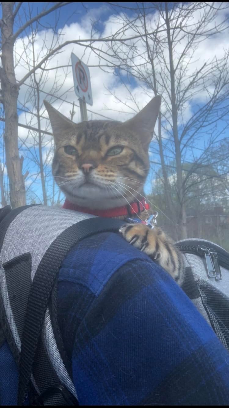 Customer photo review of Pet Carrier Backpack