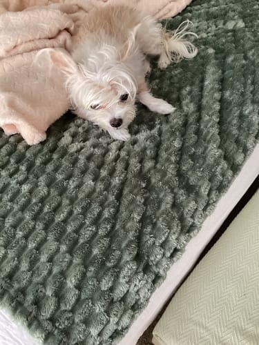Customer photo review of USA Turkey Tendons