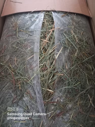 Customer photo review of Orchard Hay Box