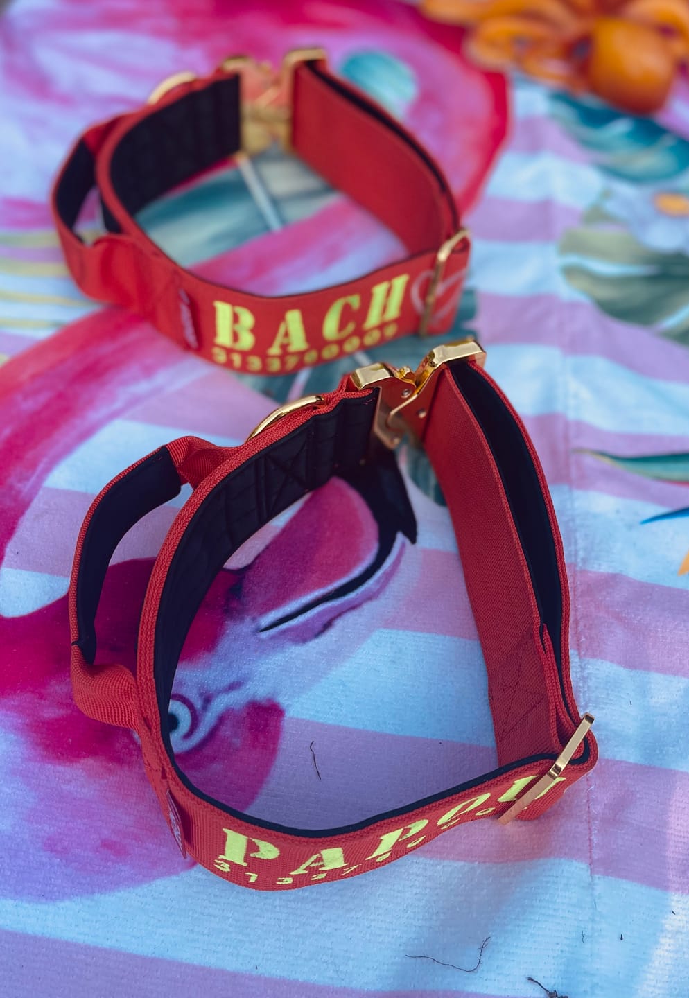 Customer photo review of 2" Tacti Luxe Dog Collar - Gold Cognac