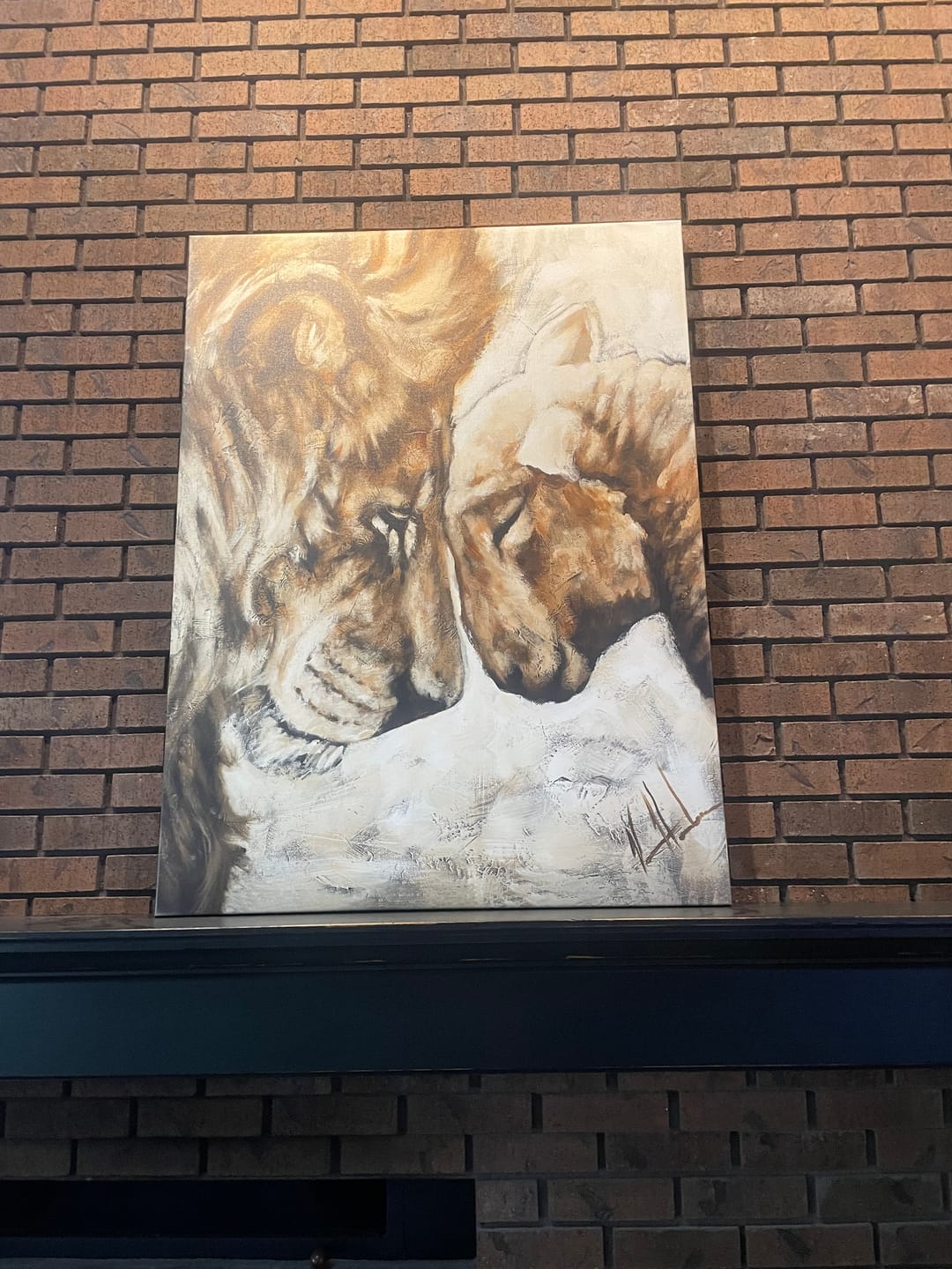Customer photo review of Compassion of a King - White Background