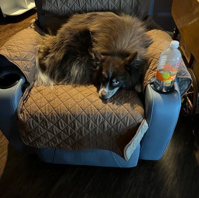Customer photo review of Homrest Power Lift Recliner Chair with Massage & Heat, Cup Holders & USB Port, Blue