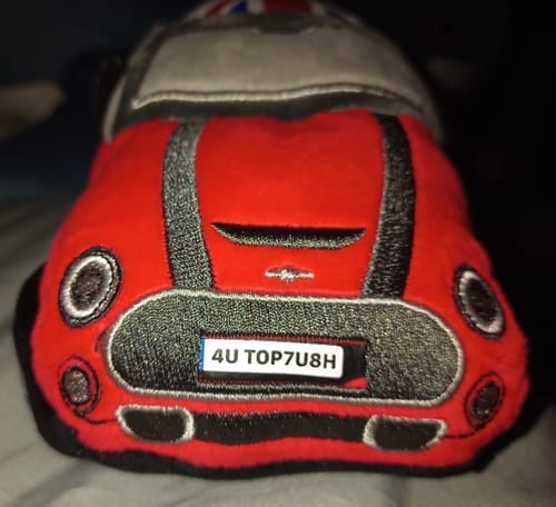 Customer photo review of The Mini Plushie