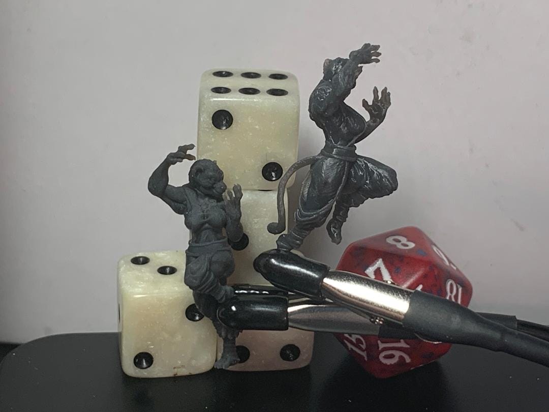 Customer photo review of Tabaxi Monk, Female