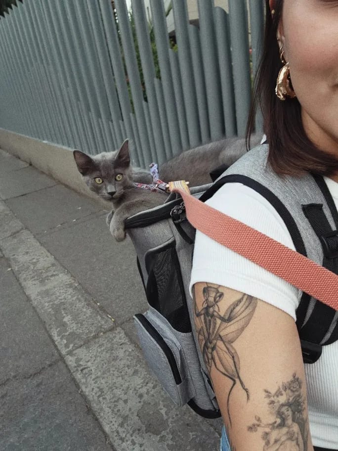 Customer photo review of Pet Carrier Backpack