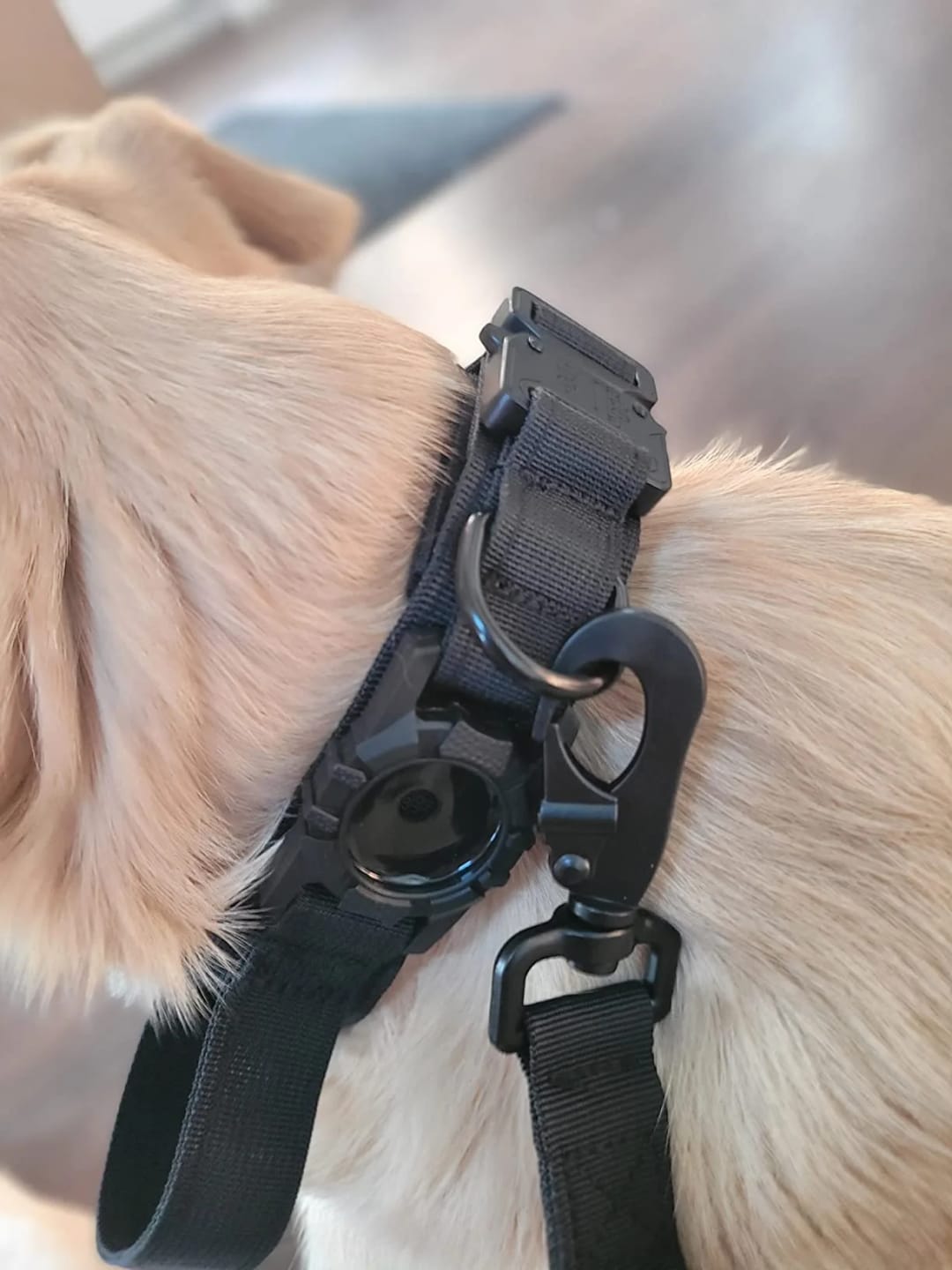 Customer photo review of Waterproof Airtag Dog Collar