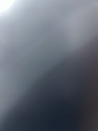 Customer photo review of LooseLeaf X Cookies 2 Pack Wraps (40 Count)