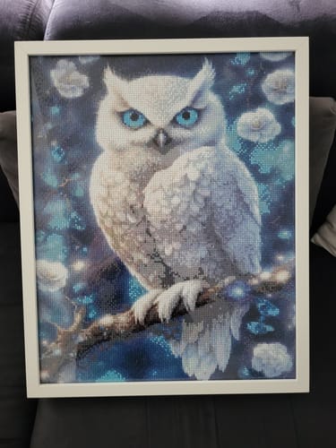 Customer photo review of 5D Diamond Painting AB Steine Weiße Eule