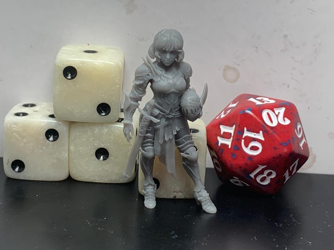 Customer photo review of Svanielle, Captain of the Guard