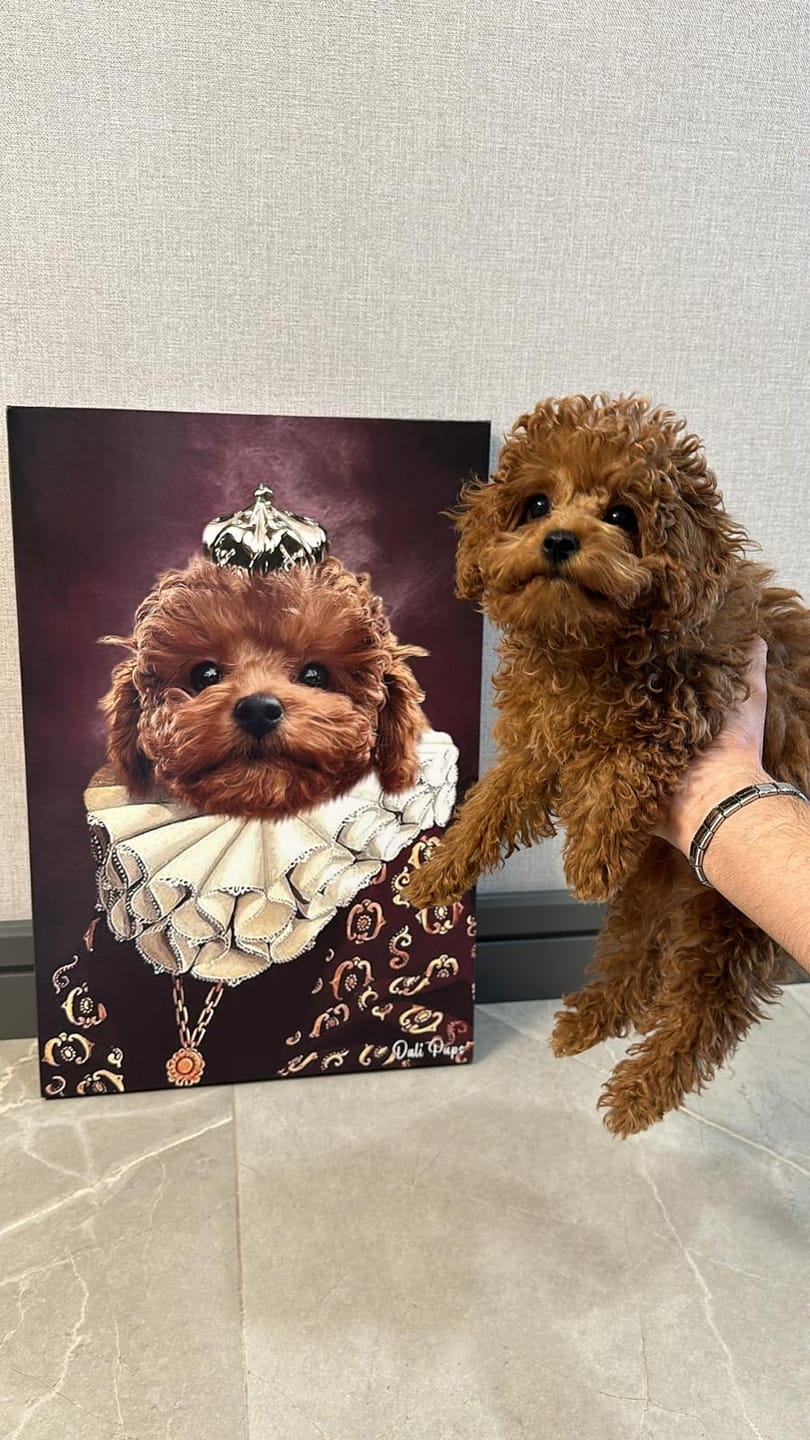 Customer photo review of The King of the Seven Kingdoms