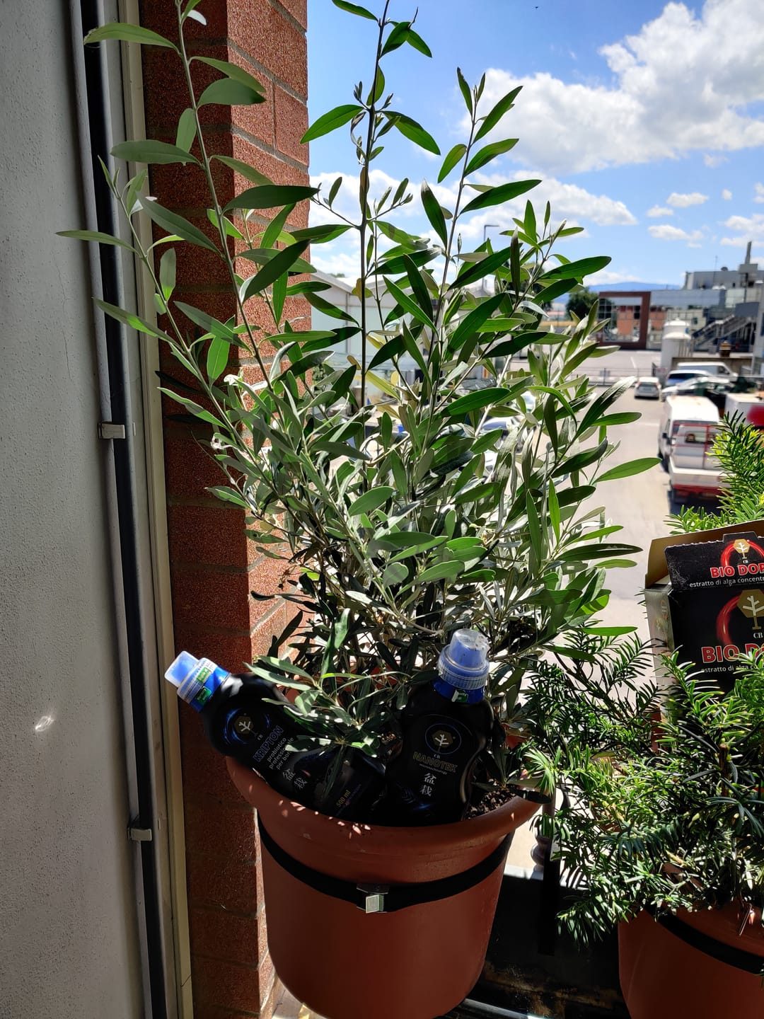 Customer photo review of CURA TOTALE PACK