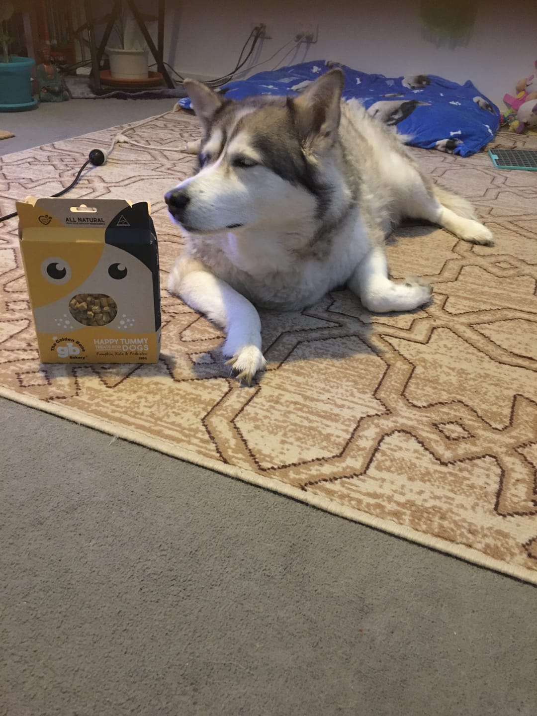 Customer photo review of Happy Tummy Treats with Prebiotics