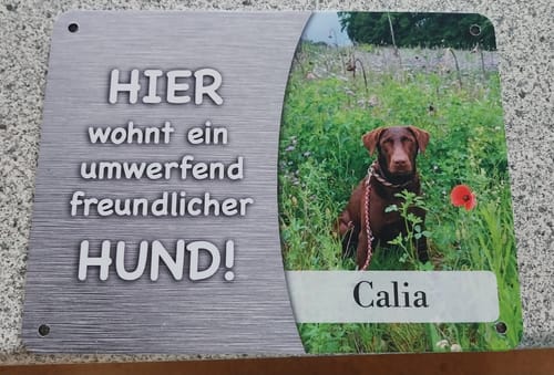 Customer photo review of Hunde-Türschild personalisiert mit Foto & Text (UV- und wetterfest)