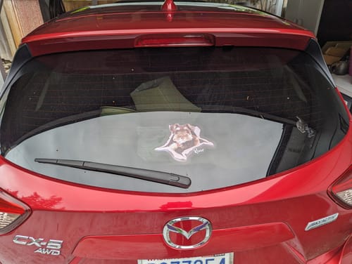 Customer photo review of Personalized Pet lover Crack Car Sticker