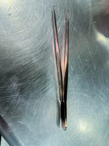 Customer photo review of Medium Straight SuperFine Tweezers