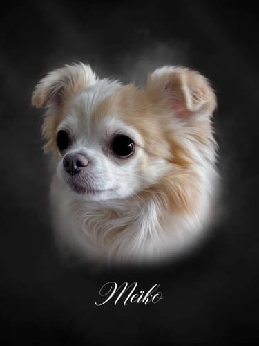 Customer photo review of Portrait Art Huilé